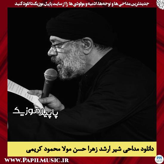 دانلود مداحی شیر ارشد زهرا حسن مولا از محمود کریمی 10 دانلود مداحی شیر ارشد زهرا حسن مولا از محمود کریمی
